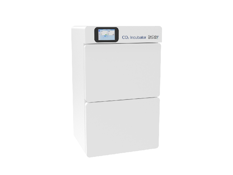 兩巢智能二氧化碳培養箱